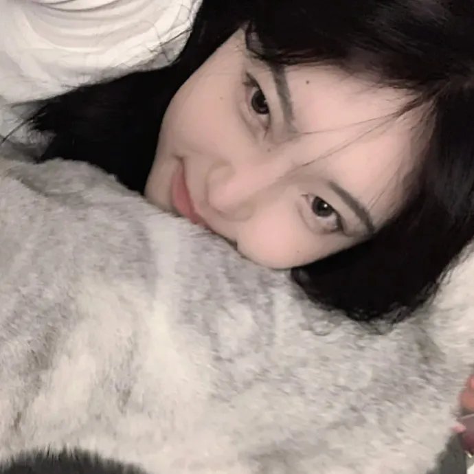 布朗神父第十一季